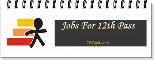 12th Pass Govt Jobs In Maharashtra 2024. Maharashtra Govt 12th