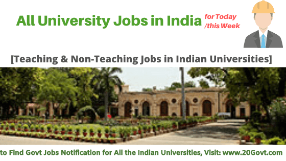 All University Jobs in India-560x315